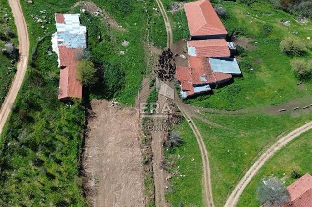 Söğüt Tuzaklı Köyünde Satılık Konut İmarlı Arsa