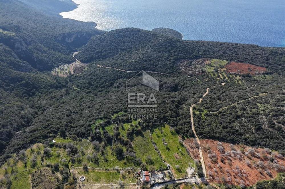 Datça Cumalı Bükceğiz Koyu'nda Yatırımlık 687 m2 Tarla