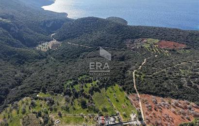 Datça Cumalı Bükceğiz Koyu'nda Yatırımlık 687 m2 Tarla