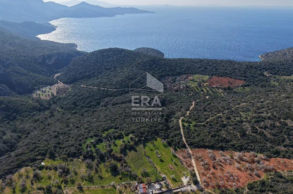 Datça Cumalı Bükceğiz Koyu'nda Yatırımlık 687 m2 Tarla