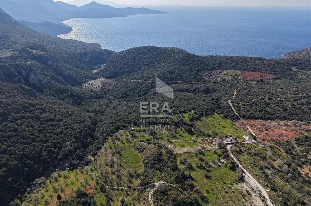 Datça Cumalı Bükceğiz Koyu'nda Yatırımlık 687 m2 Tarla