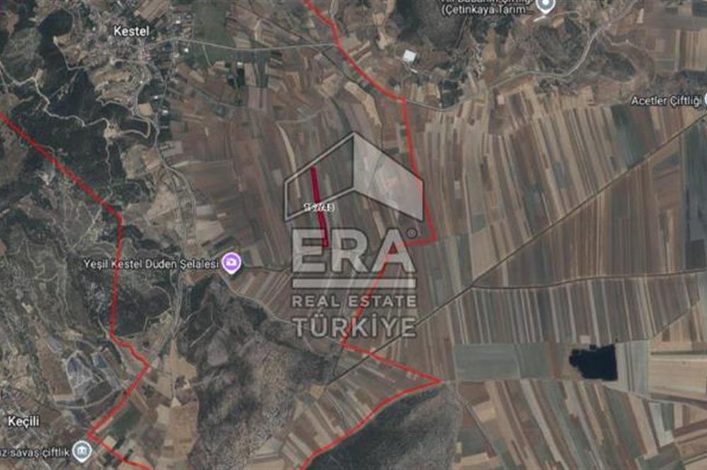 BURDUR BUCAK KESTEL KÖYÜNDE SATILIK TEK TAPU 22.236 m2 TARLA