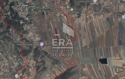 BURDUR BUCAK KESTEL KÖYÜNDE SATILIK TEK TAPU 22.236 m2 TARLA