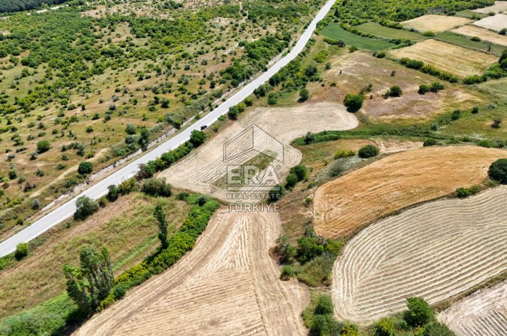 ERA SÖZ DEN KEPSUT ŞEREMETLERDE 11400 m² SATILIK TARLA