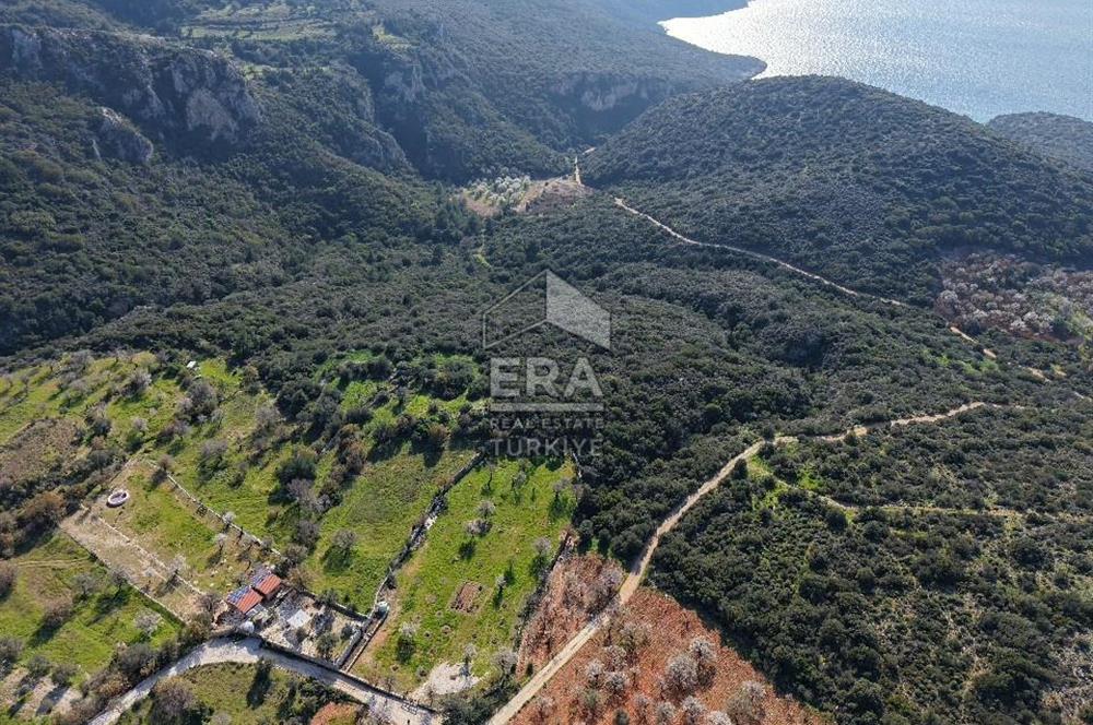 Datça Cumalı Bükceğiz Koyu'nda Yatırımlık 687 m2 Tarla