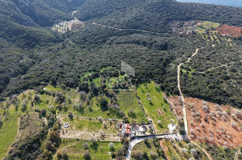 Datça Cumalı Bükceğiz Koyu'nda Yatırımlık 687 m2 Tarla