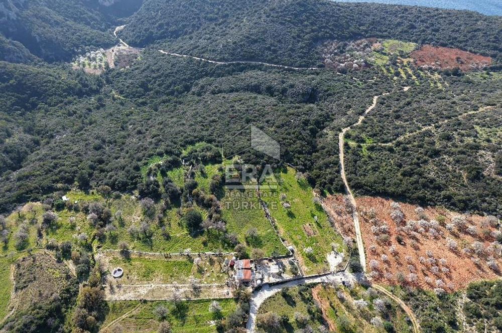 Datça Cumalı Bükceğiz Koyu'nda Yatırımlık 687 m2 Tarla