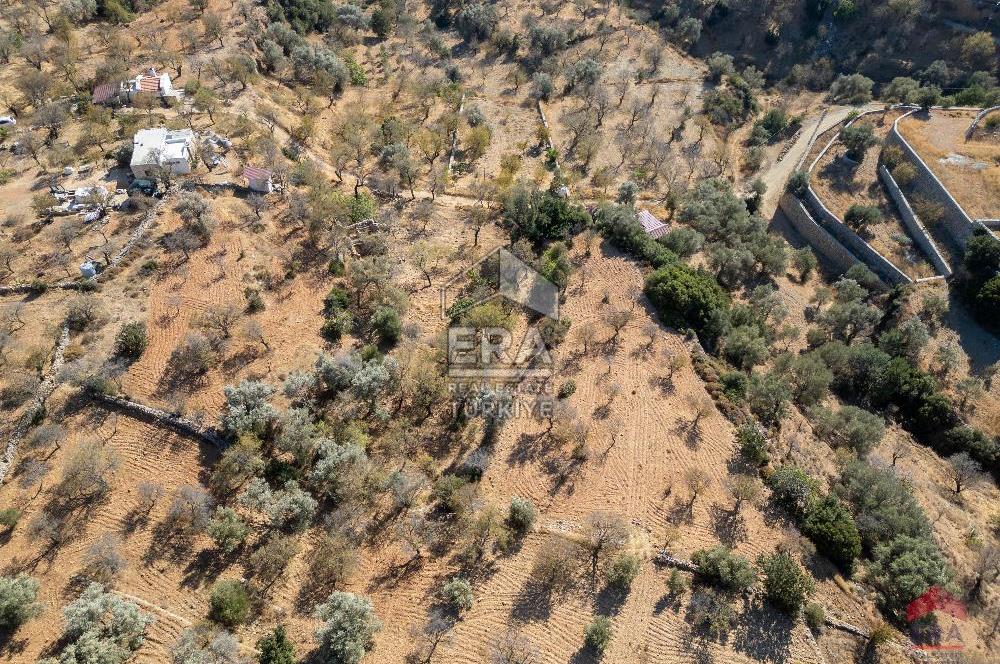 Datça Cumalı’da Konut İmarlı Satılık Arsa – 4.377 m²
