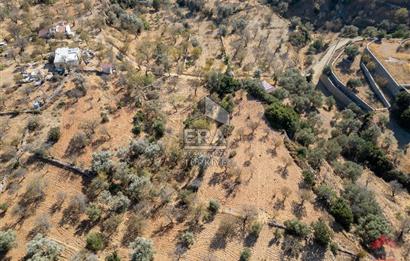 Datça Cumalı’da Konut İmarlı Satılık Arsa – 4.377 m²