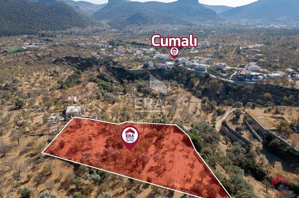 Datça Cumalı’da Konut İmarlı Satılık Arsa – 4.377 m²