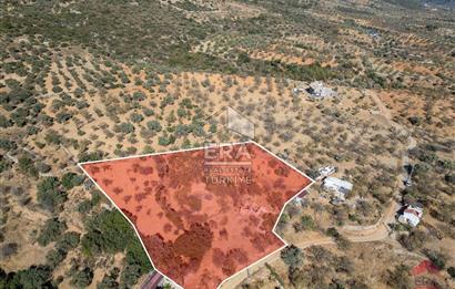 Datça Cumalı’da Konut İmarlı Satılık Arsa – 4.377 m²
