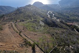 Datça Mesudiye'de Deniz Manzaralı Satılık 180 m2 Yaşam Alanı - 2 - 15295