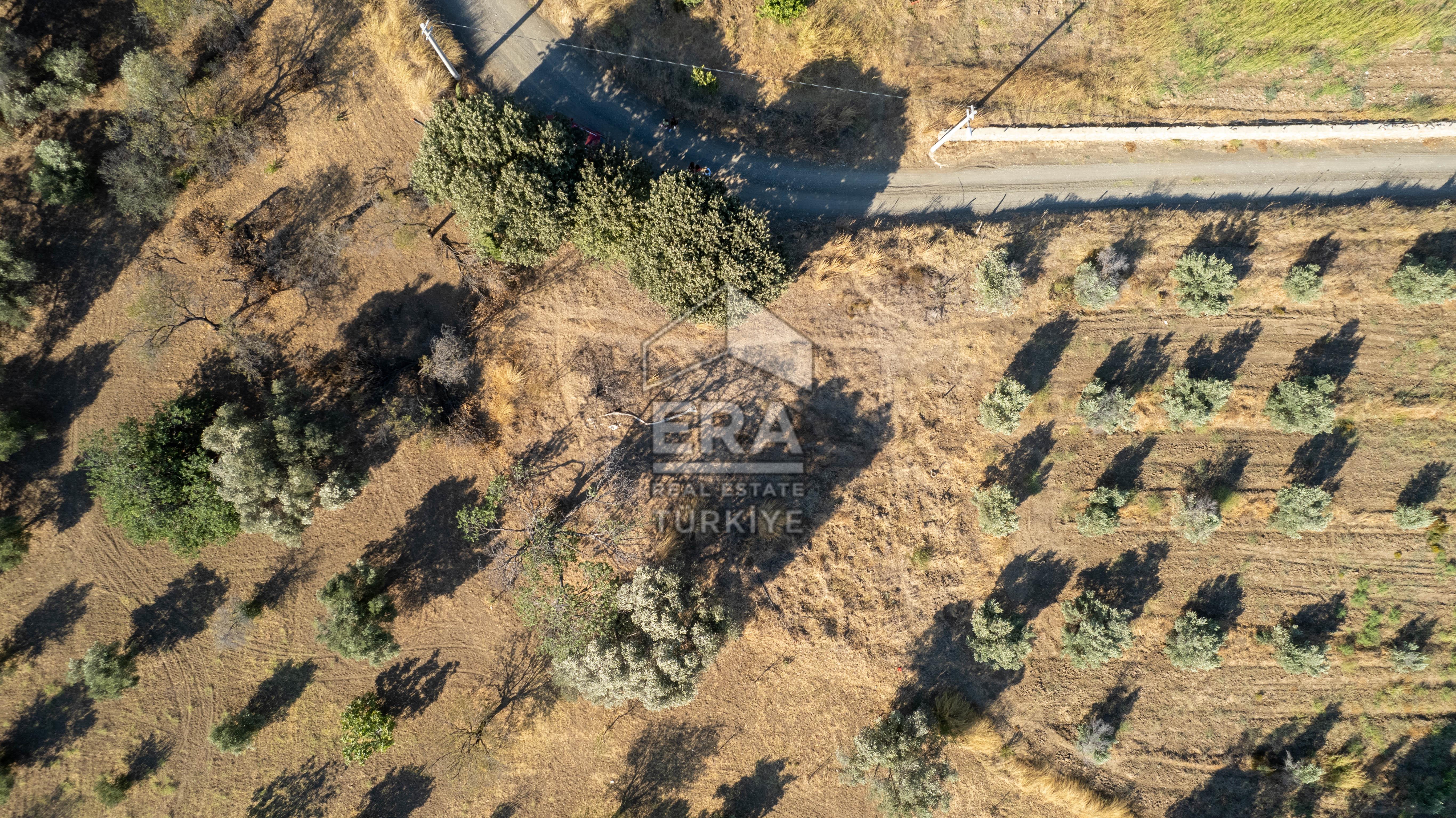 DATÇA KIZLAN’DA 617 M2 SATILIK TARLA