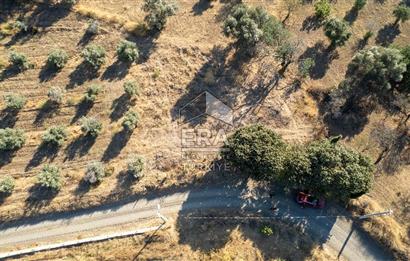 DATÇA KIZLAN’DA 617 M2 SATILIK TARLA