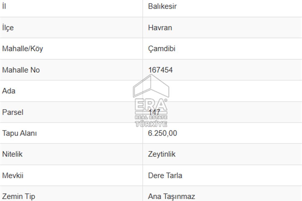 Era Söz'den Havran'da Kadastral Yola Cephe Zeytinlik