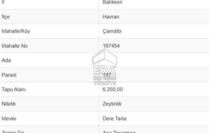 Era Söz'den Havran'da Kadastral Yola Cephe Zeytinlik