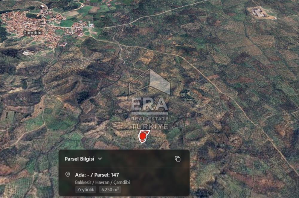 Era Söz'den Havran'da Kadastral Yola Cephe Zeytinlik