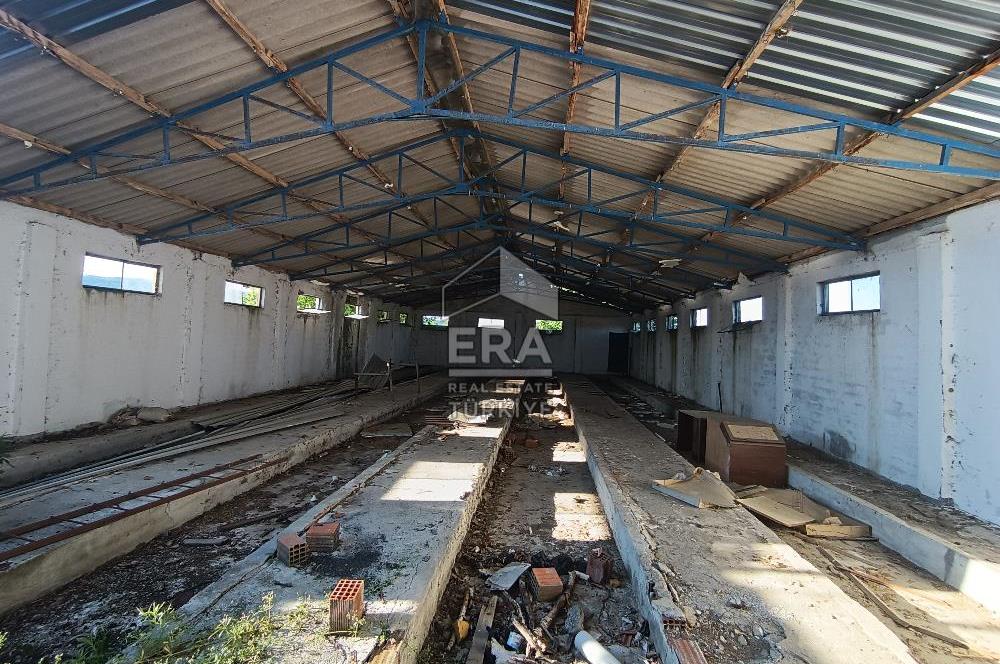 Era Söz'den Manyas'ta 3.124m2 K.Tavukhane(300m2) Ve Tarla