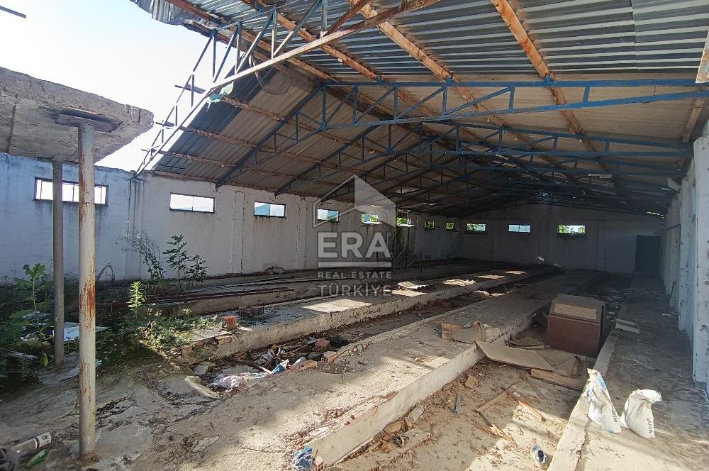 Era Söz'den Manyas'ta 3.124m2 K.Tavukhane(300m2) Ve Tarla