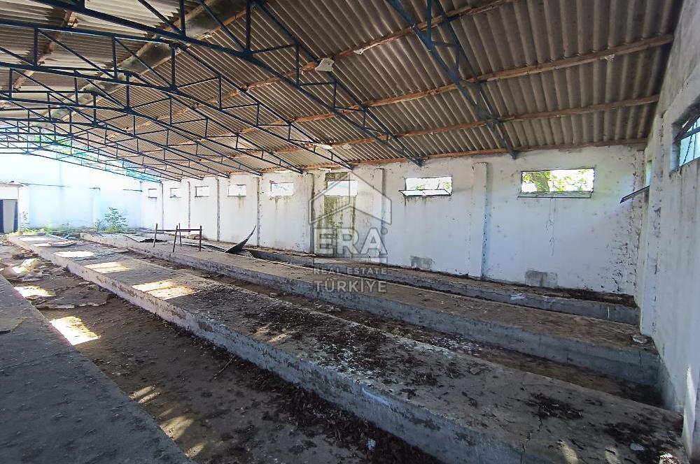 Era Söz'den Manyas'ta 3.124m2 K.Tavukhane(300m2) Ve Tarla