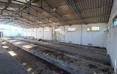 Era Söz'den Manyas'ta 3.124m2 K.Tavukhane(300m2) Ve Tarla