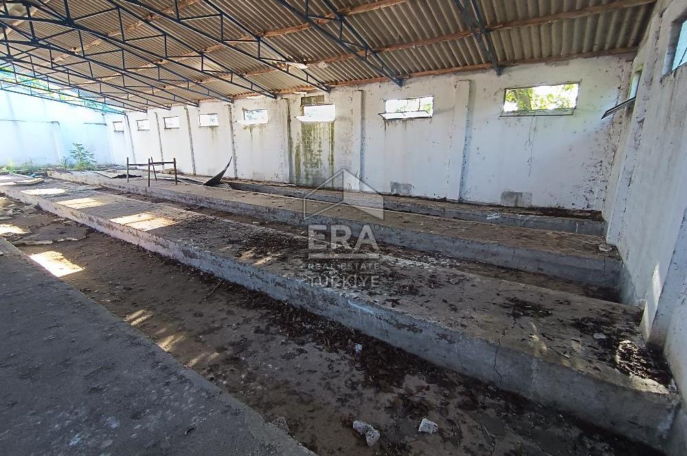 Era Söz'den Manyas'ta 3.124m2 K.Tavukhane(300m2) Ve Tarla