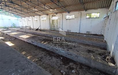 Era Söz'den Manyas'ta 3.124m2 K.Tavukhane(300m2) Ve Tarla