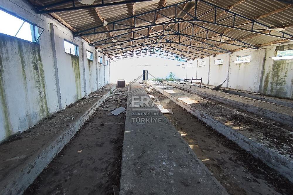 Era Söz'den Manyas'ta 3.124m2 K.Tavukhane(300m2) Ve Tarla