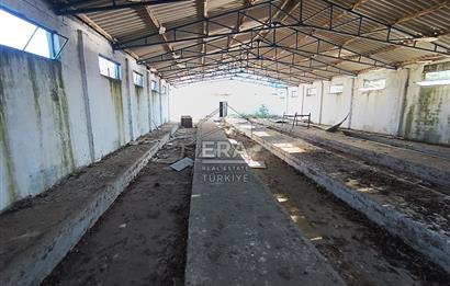 Era Söz'den Manyas'ta 3.124m2 K.Tavukhane(300m2) Ve Tarla