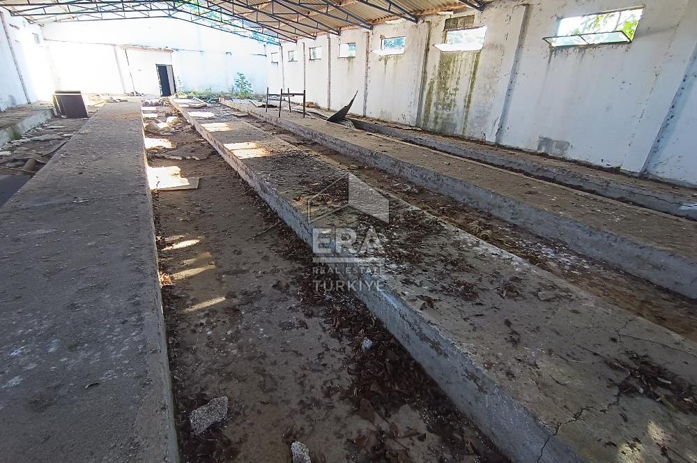 Era Söz'den Manyas'ta 3.124m2 K.Tavukhane(300m2) Ve Tarla