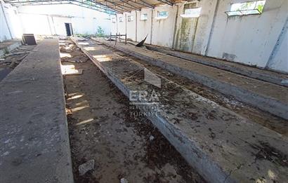 Era Söz'den Manyas'ta 3.124m2 K.Tavukhane(300m2) Ve Tarla