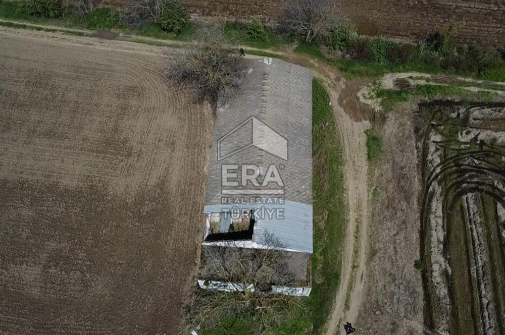 Era Söz'den Manyas'ta 3.124m2 K.Tavukhane(300m2) Ve Tarla