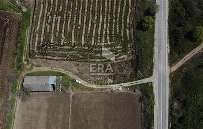 Era Söz'den Manyas'ta 3.124m2 K.Tavukhane(300m2) Ve Tarla