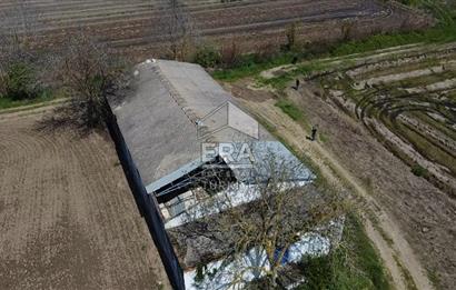 Era Söz'den Manyas'ta 3.124m2 K.Tavukhane(300m2) Ve Tarla