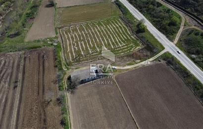 Era Söz'den Manyas'ta 3.124m2 K.Tavukhane(300m2) Ve Tarla