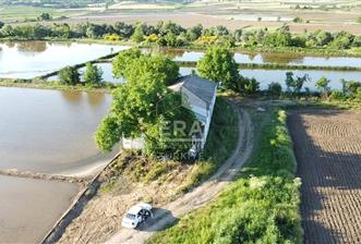 Era Söz'den Manyas'ta 3.124m2 K.Tavukhane(300m2) Ve Tarla - 2 - 15292