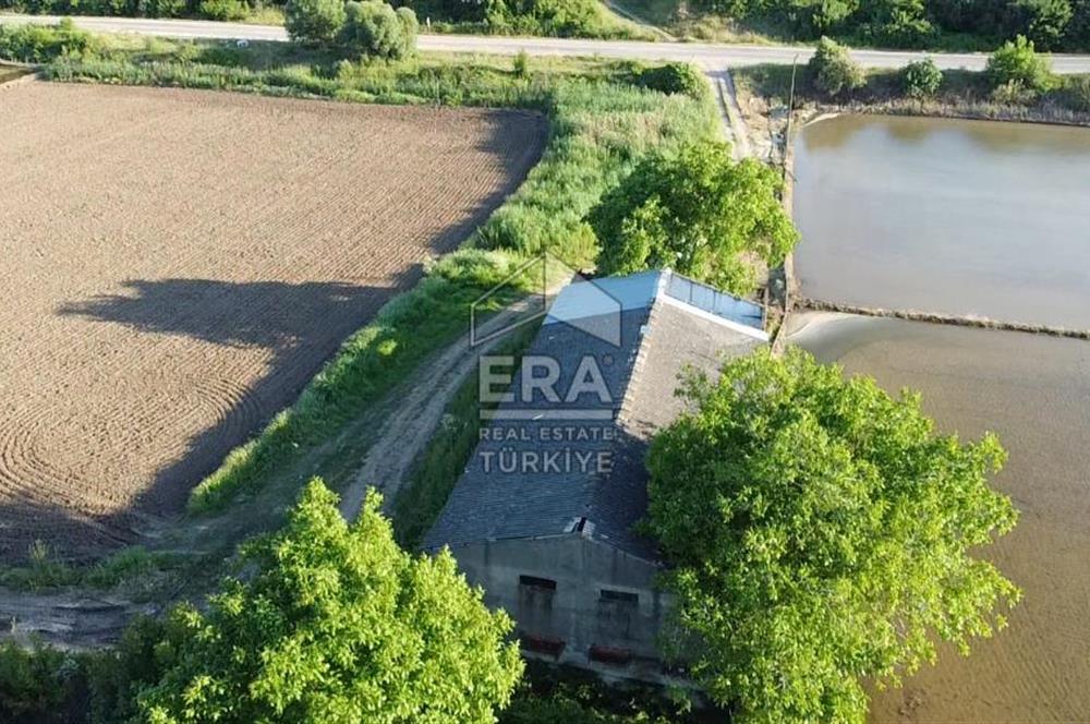 Era Söz'den Manyas'ta 3.124m2 K.Tavukhane(300m2) Ve Tarla
