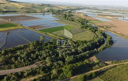Era Söz'den Manyas'ta Dere Kenarı Ulaşımı Kolay Sulak Tarla