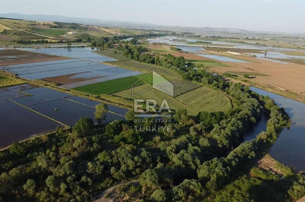 Era Söz'den Manyas'ta Dere Kenarı Ulaşımı Kolay Sulak Tarla