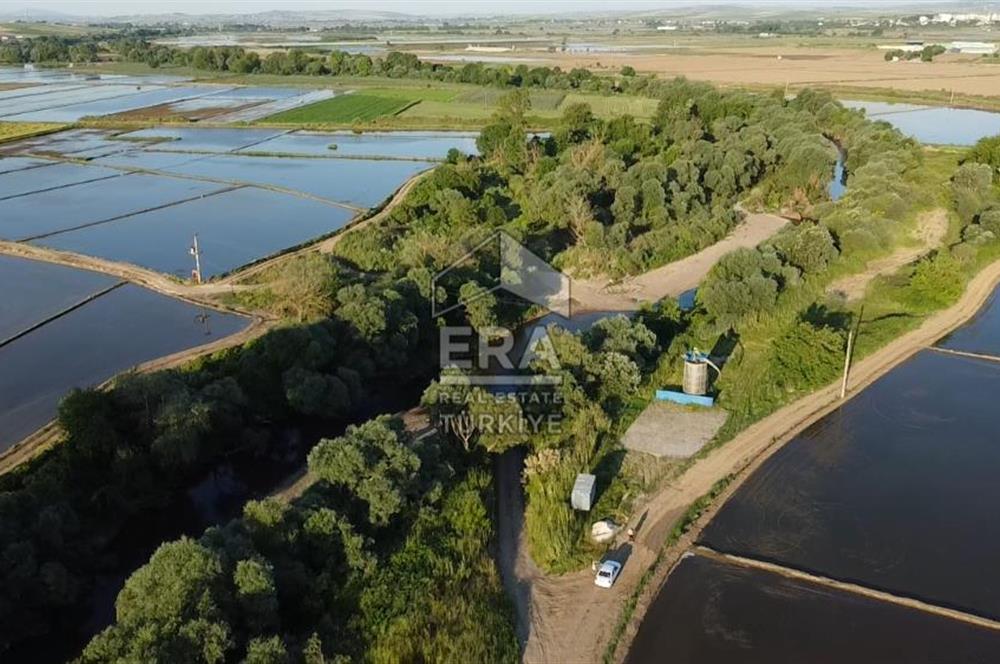 Era Söz'den Manyas'ta Dere Kenarı Ulaşımı Kolay Sulak Tarla
