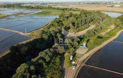 Era Söz'den Manyas'ta Dere Kenarı Ulaşımı Kolay Sulak Tarla