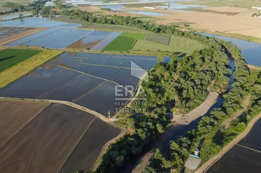 Era Söz'den Manyas'ta Dere Kenarı Ulaşımı Kolay Sulak Tarla