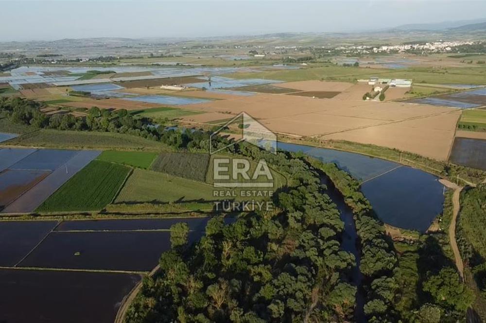 Era Söz'den Manyas'ta Dere Kenarı Ulaşımı Kolay Sulak Tarla