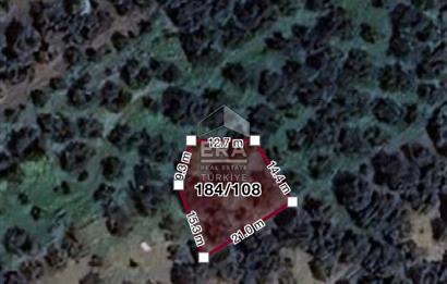 BALIKESİR BANDIRMA EDİNCİK 354 M2 ZEYTİNLİK