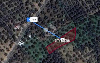 BANDIRMA EDİNCİK - SATILIK ZEYTİNLİK - 797 m²