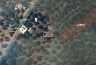 BANDIRMA EDİNCİK - SATILIK ZEYTİNLİK - 797 m² - 4 - 15349