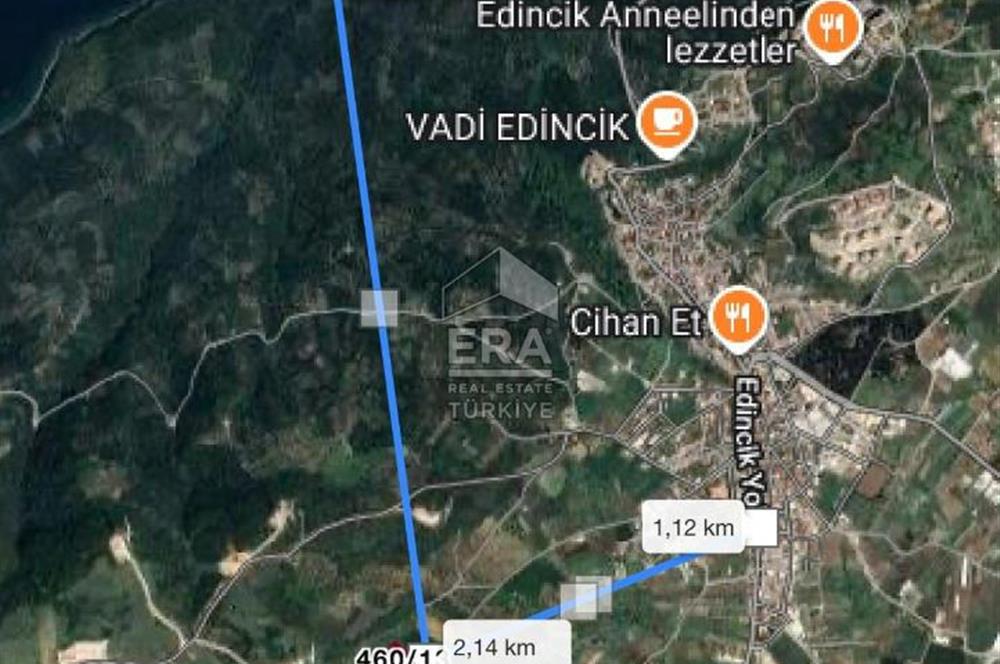 BANDIRMA EDİNCİK-SATILIK BAĞ /ZEYTİNLİK- 3.272 m²