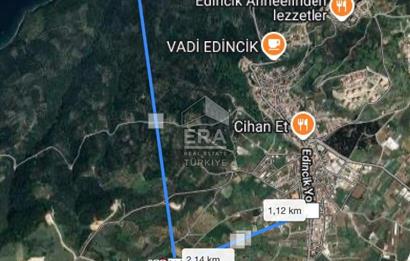 BANDIRMA EDİNCİK-SATILIK BAĞ /ZEYTİNLİK- 3.272 m²
