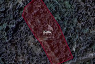 BANDIRMA- EDİNCİK - SATILIK ZEYTİNLİK - 1439 m² - 1 - 15348