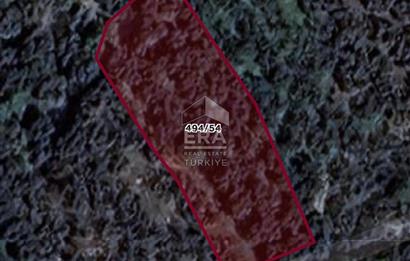 BANDIRMA- EDİNCİK - SATILIK ZEYTİNLİK - 1439 m²